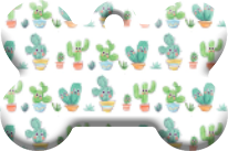 Cactus_11